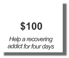$100 Help a recovering addict for four days