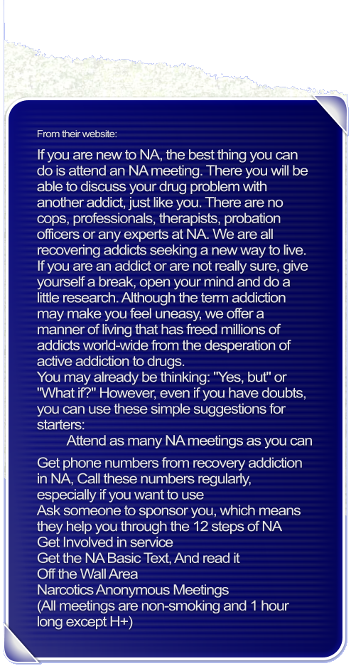 From their website:  If you are new to NA, the best thing you can do is attend an NA meeting. There you will be able to discuss your drug problem with another addict, just like you. There are no cops, professionals, therapists, probation officers or any experts at NA. We are all recovering addicts seeking a new way to live. If you are an addict or are not really sure, give yourself a break, open your mind and do a little research. Although the term addiction may make you feel uneasy, we offer a manner of living that has freed millions of addicts world-wide from the desperation of active addiction to drugs. You may already be thinking: "Yes, but" or "What if?" However, even if you have doubts, you can use these simple suggestions for starters:          Attend as many NA meetings as you can  Get phone numbers from recovery addiction in NA, Call these numbers regularly, especially if you want to use Ask someone to sponsor you, which means they help you through the 12 steps of NA Get Involved in service Get the NA Basic Text, And read it Off the Wall Area Narcotics Anonymous Meetings (All meetings are non-smoking and 1 hour long except H+)